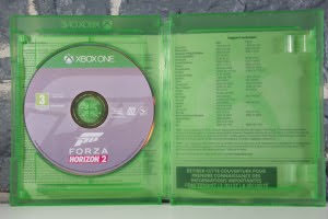 Forza Horizon 2 (03)